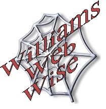 Web Logo